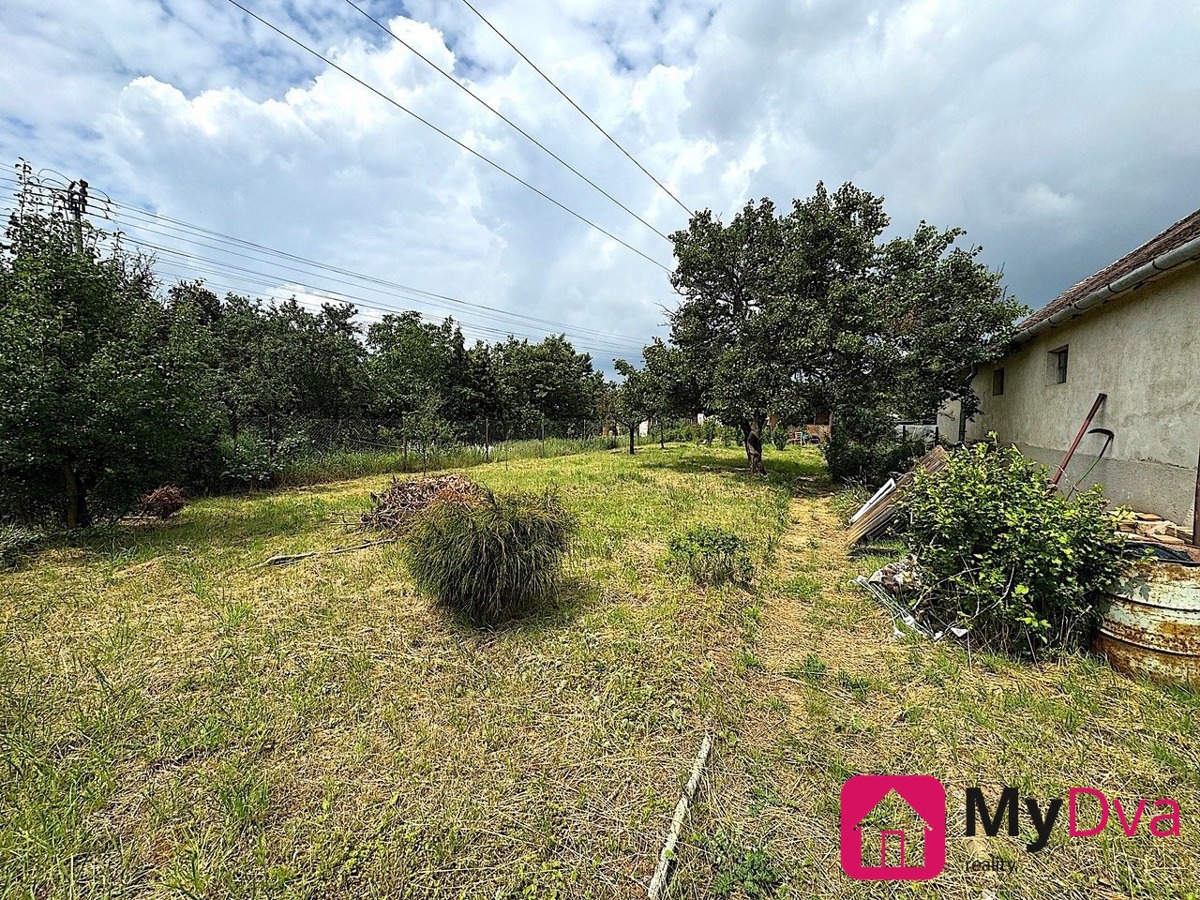 Photo 2 - Land for sale · Garden
