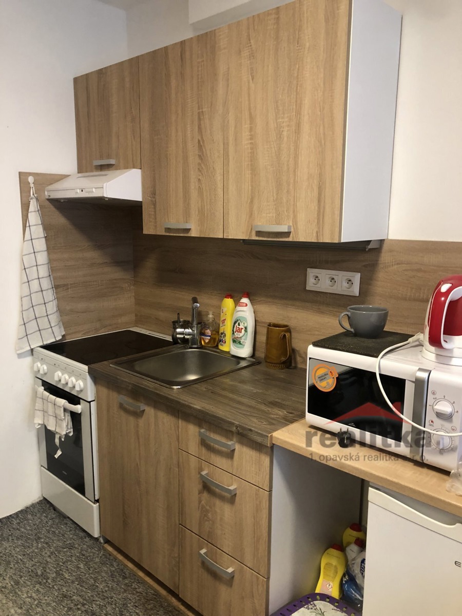 Fotografie 2 - Pronájem bytu · 1+kk · 27 m²