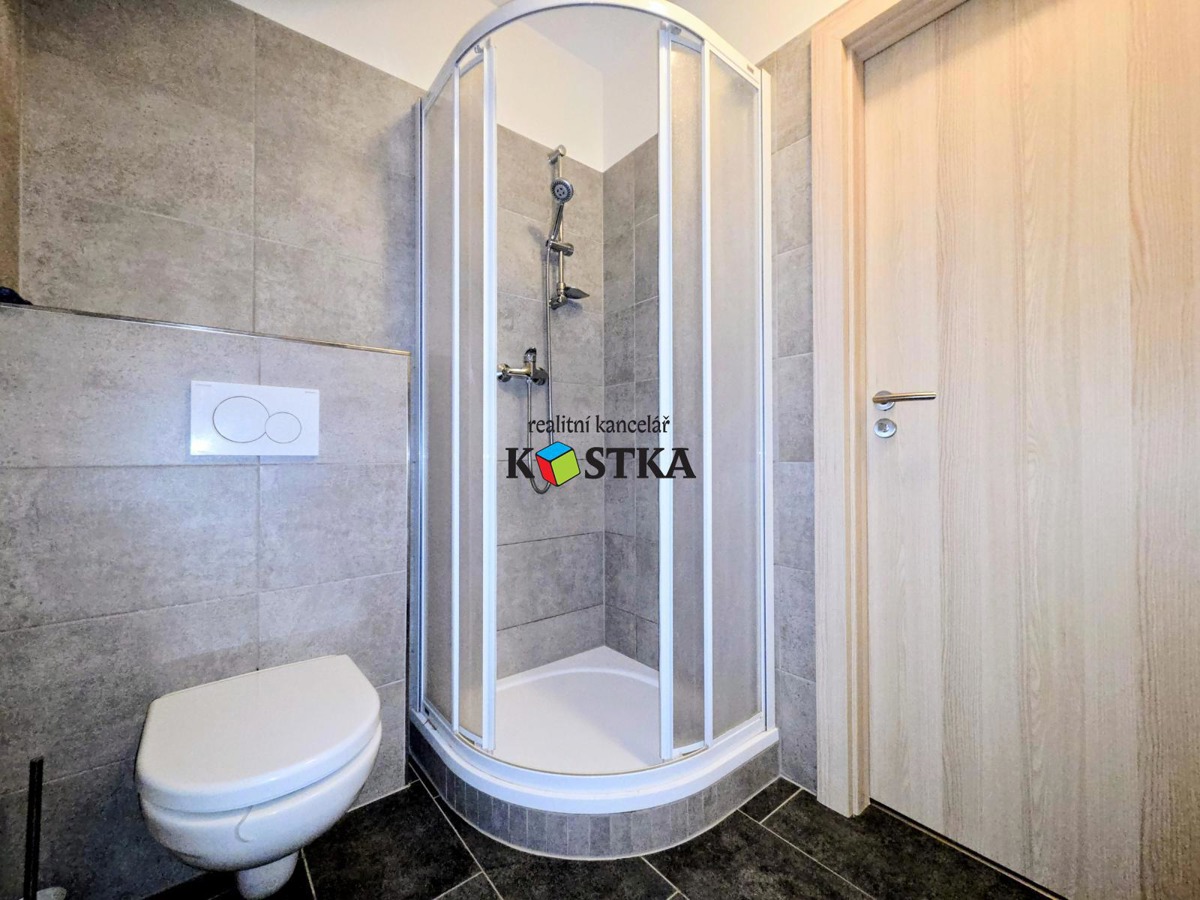 Hình ảnh 4 - Căn hộ cho thuê · 1+kk · 56 m²