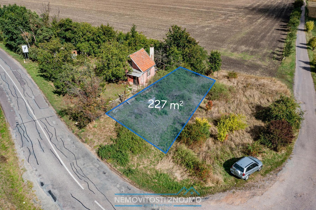 Fotografie 1 - Prodej vinného sklepa · 227 m²