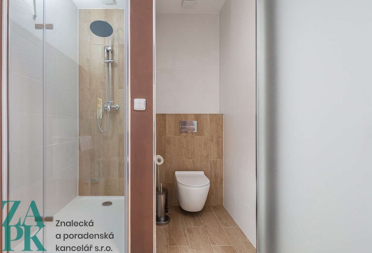 Hình ảnh 3 - Căn hộ cho thuê · 1+kk · 22 m²