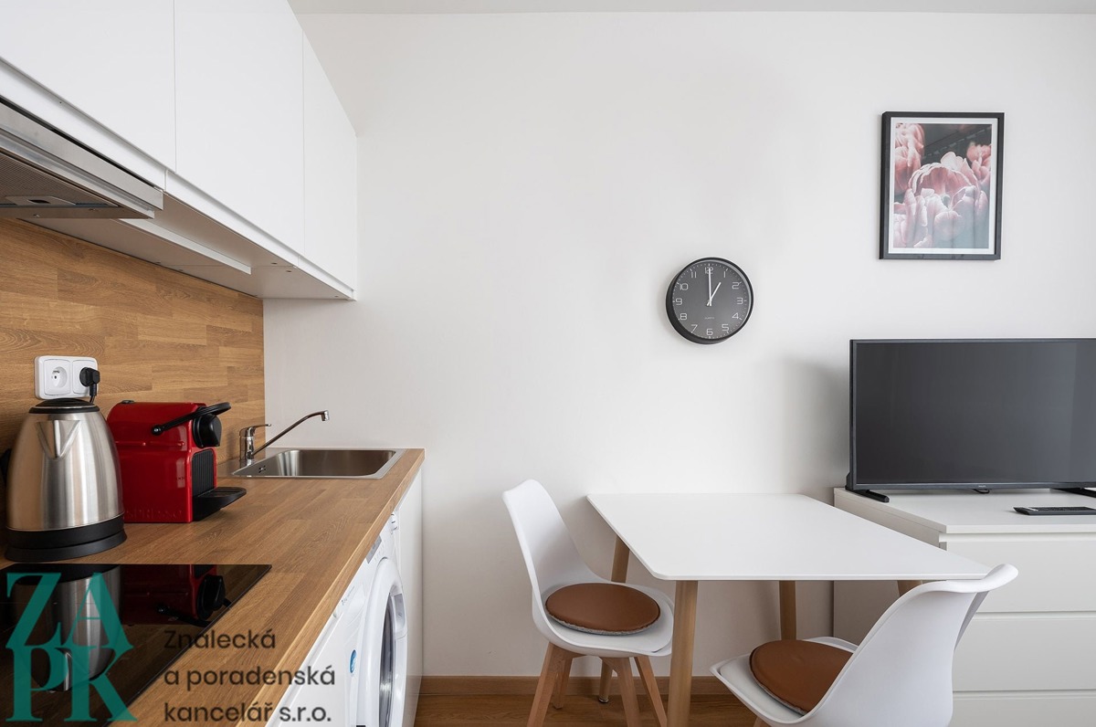 Hình ảnh 4 - Căn hộ cho thuê · 1+kk · 22 m²