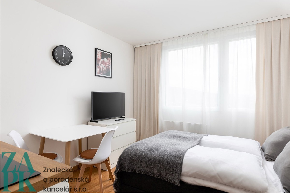 Hình ảnh 1 - Căn hộ cho thuê · 1+kk · 22 m²