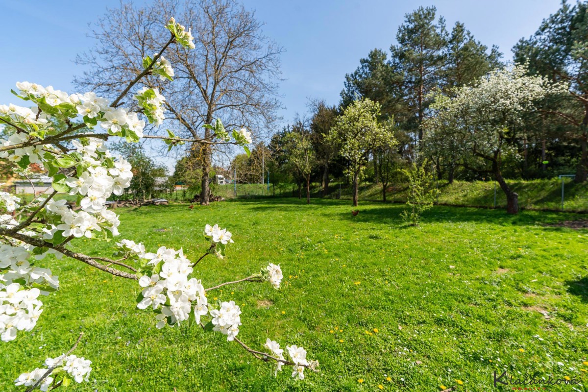 Fotografie 3 - Prodej pozemku · Bydlení · 1 068 m²