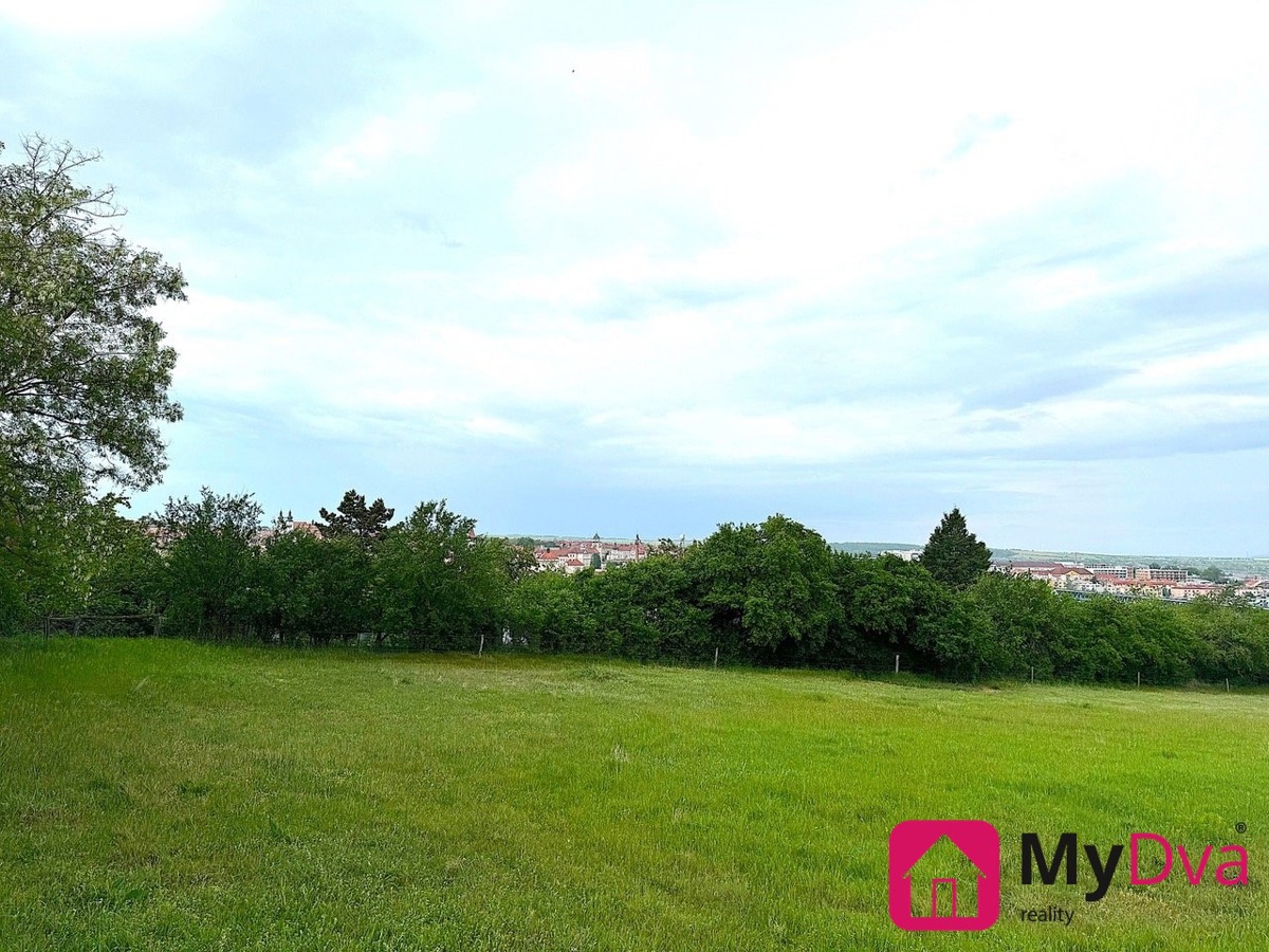 Photo 2 - Land for sale · Field