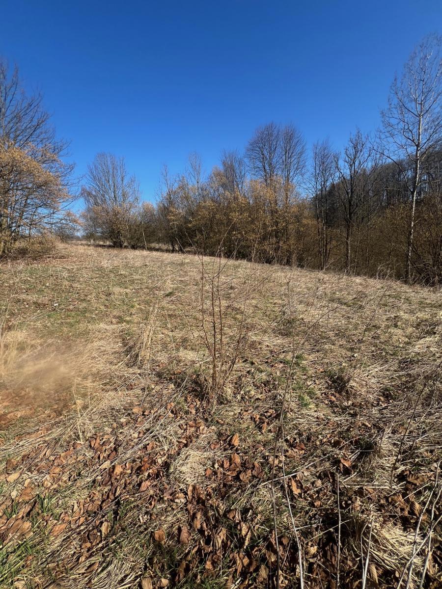 Photo 3 - Land for sale · Housings · 6 057 m²