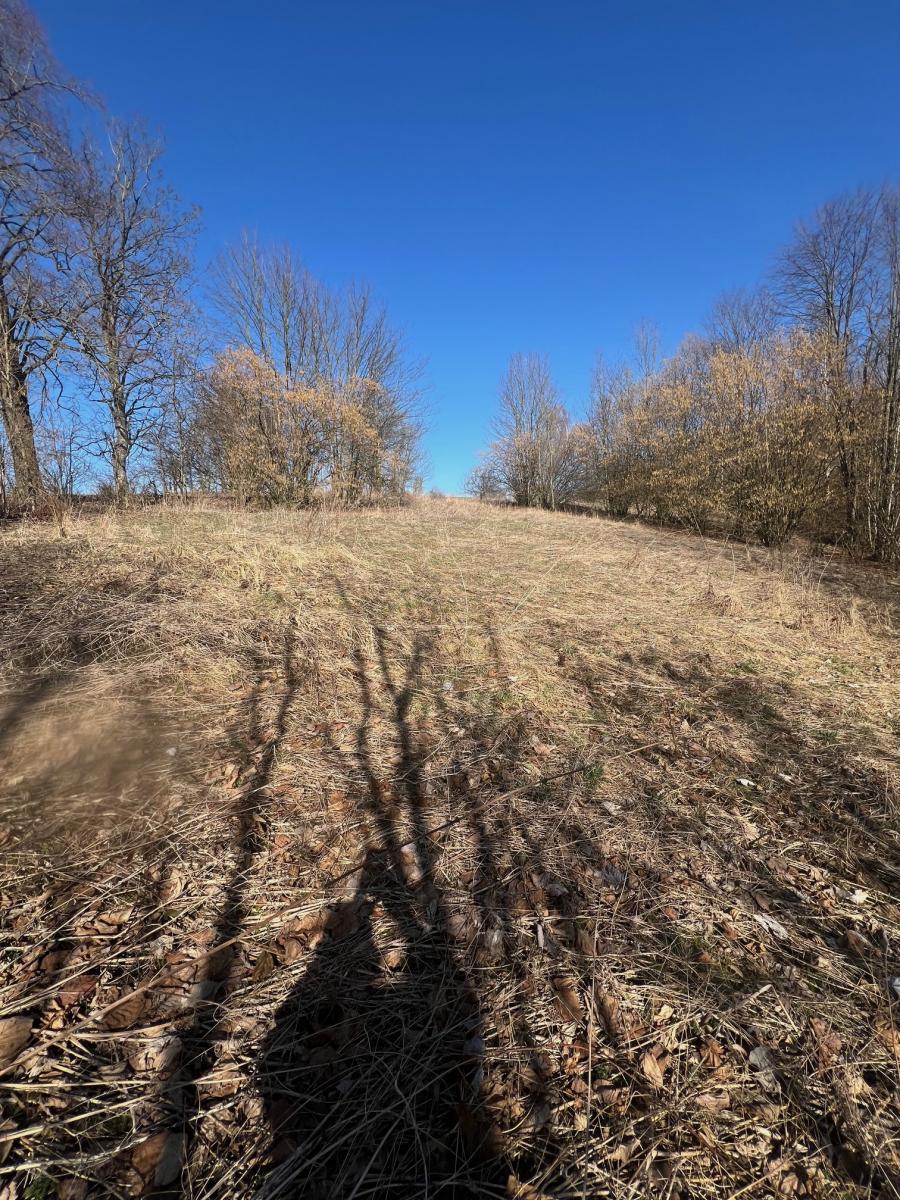 Photo 1 - Land for sale · Housings · 6 057 m²