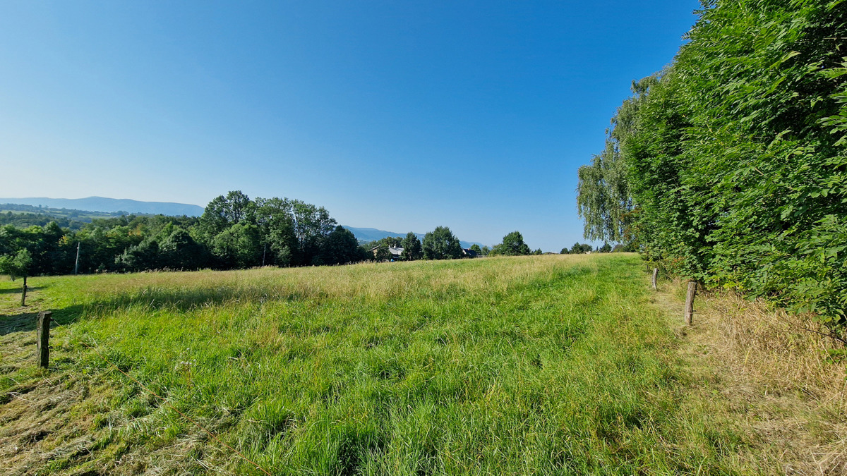 Photo 4 - Land for sale · Housings · 4 000 m²