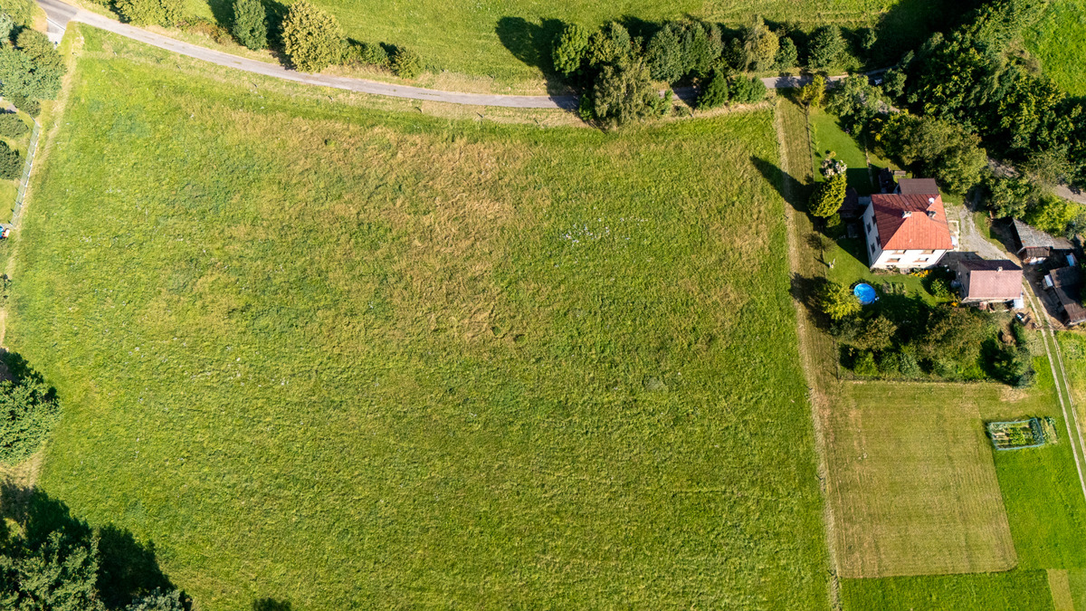 Photo 2 - Land for sale · Housings · 4 000 m²