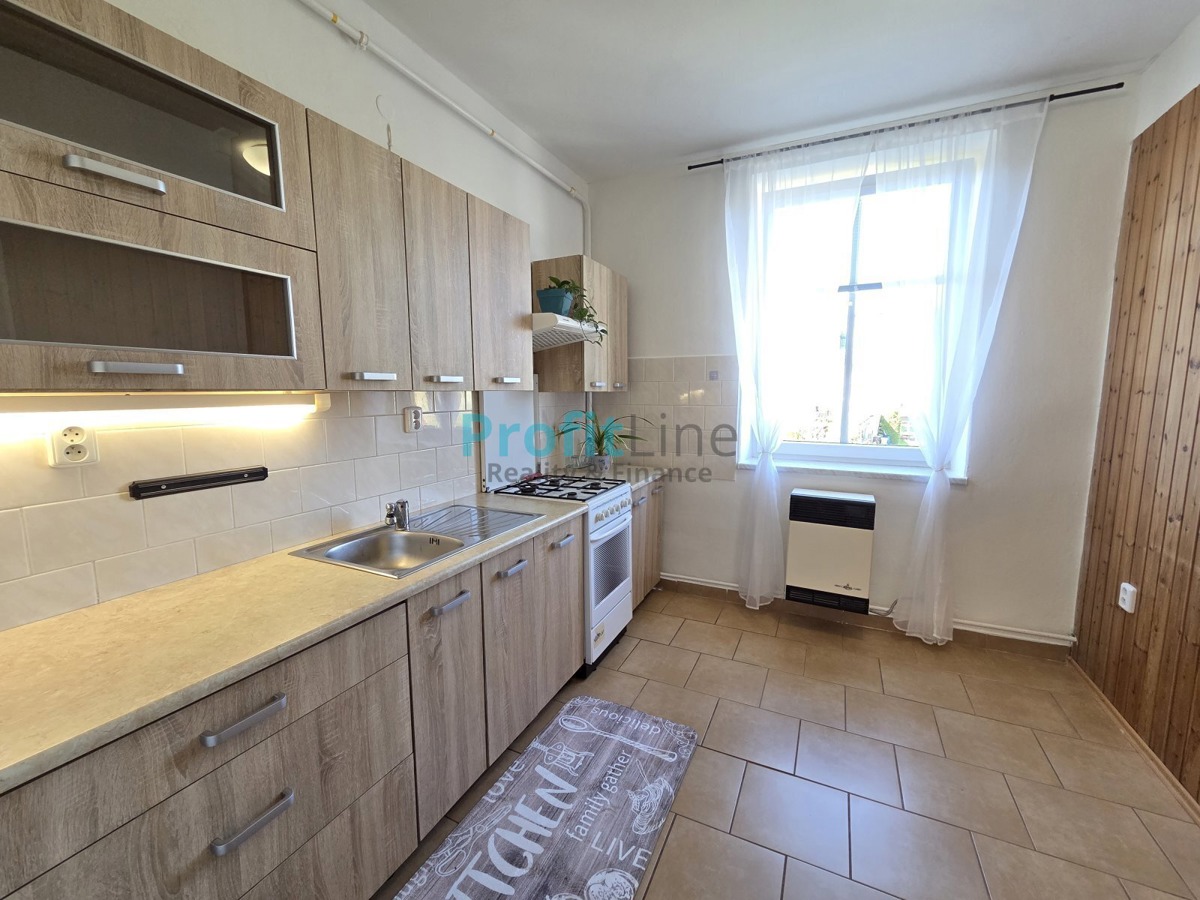 Fotografie 4 - Pronájem bytu · 1+1 · 40 m²