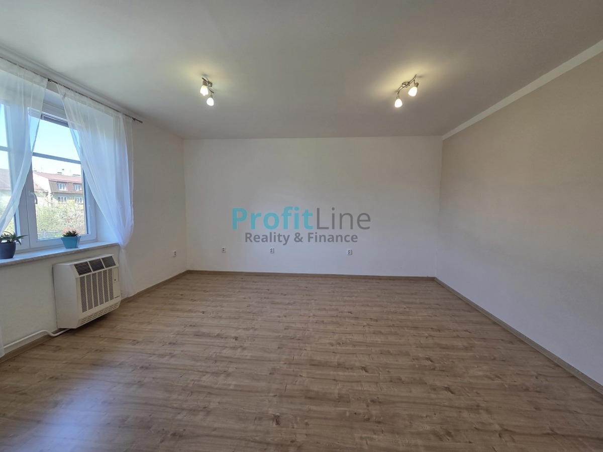 Fotografie 2 - Pronájem bytu · 1+1 · 40 m²