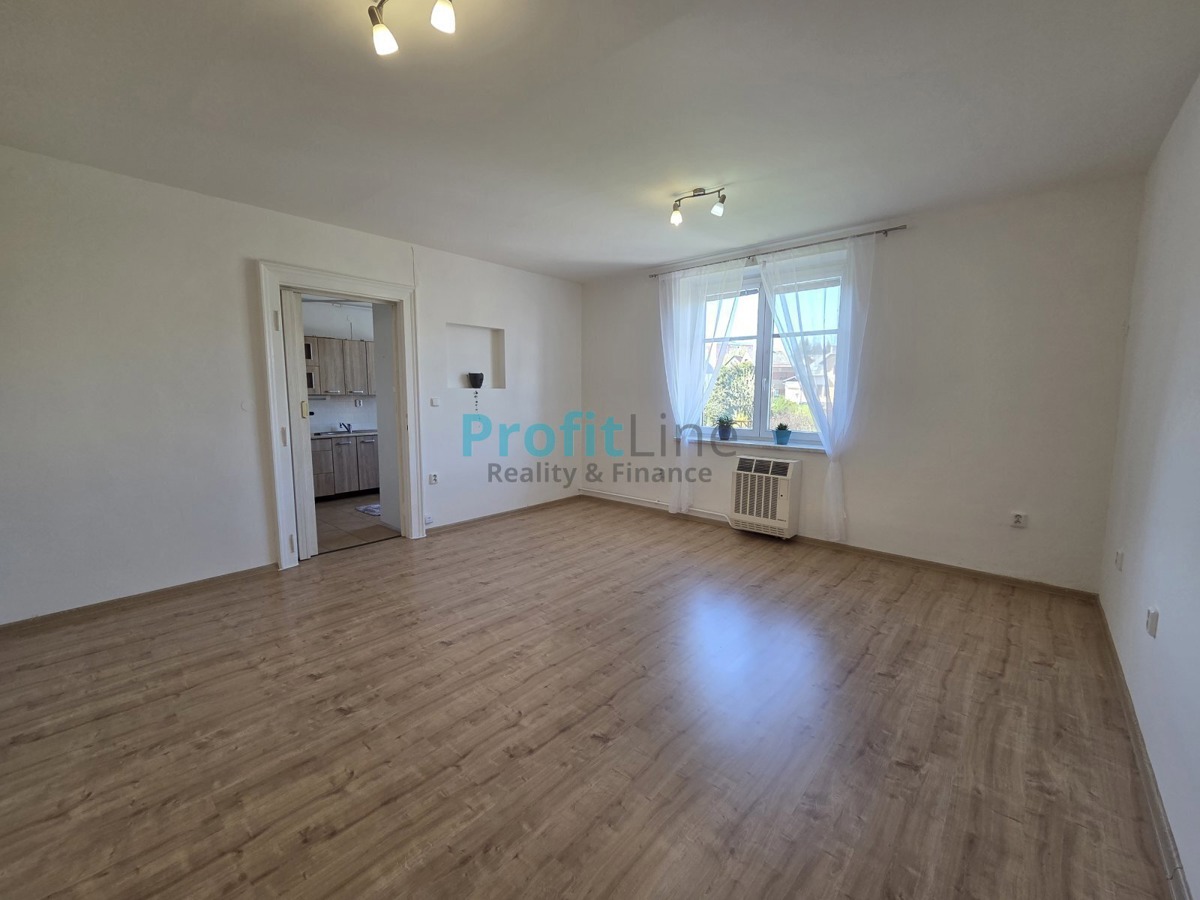 Fotografie 1 - Pronájem bytu · 1+1 · 40 m²