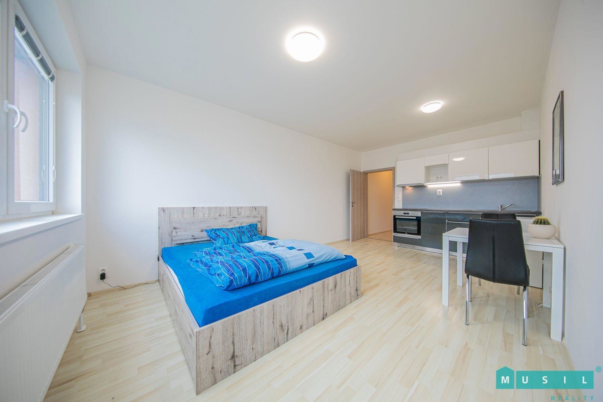 Fotografie 3 - Pronájem bytu · 1+kk · 35 m²