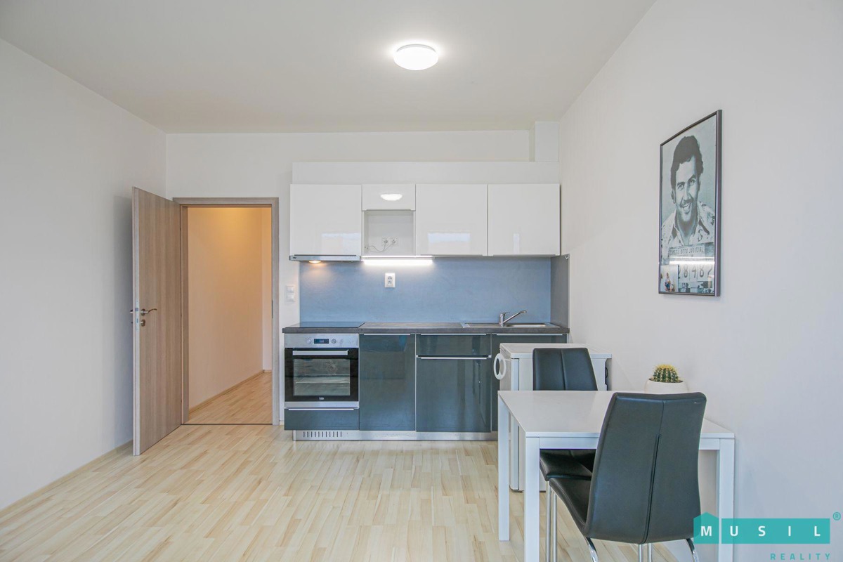Fotografie 4 - Pronájem bytu · 1+kk · 35 m²