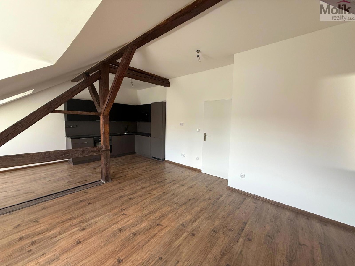 Hình ảnh 4 - Căn hộ cho thuê · 2+kk · 58 m²