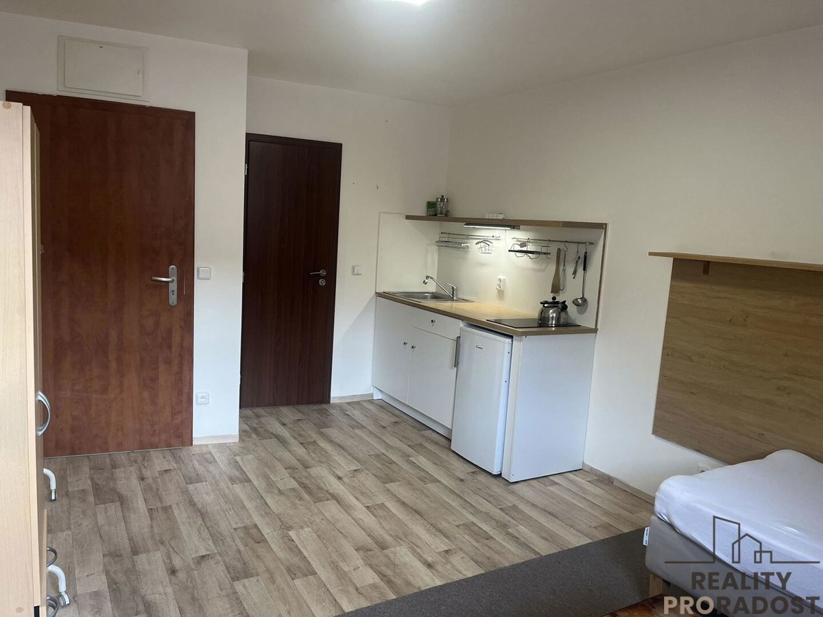 Fotografie 1 - Pronájem bytu · 1+kk · 31 m²