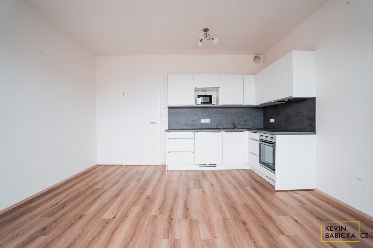 Fotografie 1 - Pronájem bytu · 1+kk · 30 m²