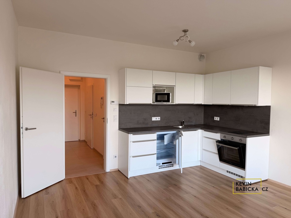 Fotografie 2 - Pronájem bytu · 1+kk · 30 m²