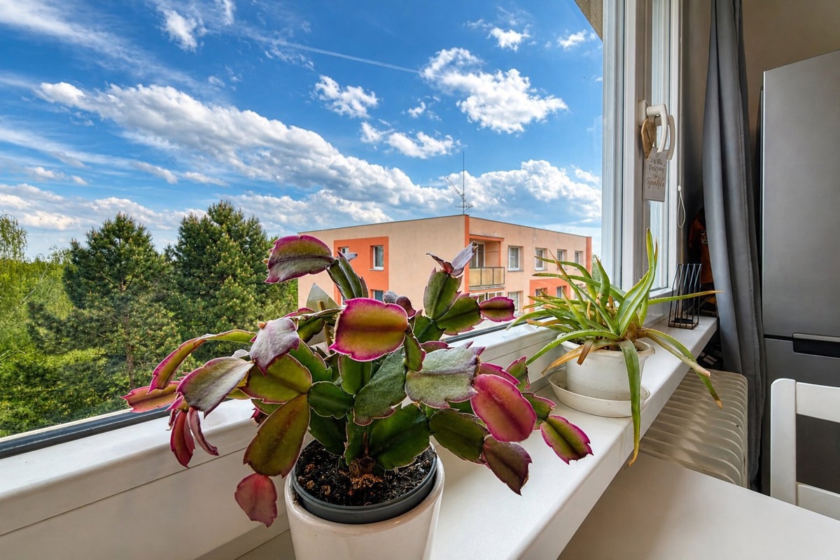 Fotografie 3 - Prodej bytu · 3+1 · 66 m²