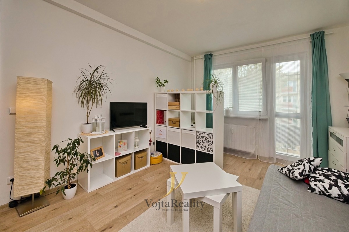 Hình ảnh 1 - Căn hộ cho thuê · 1+1 · 41 m²