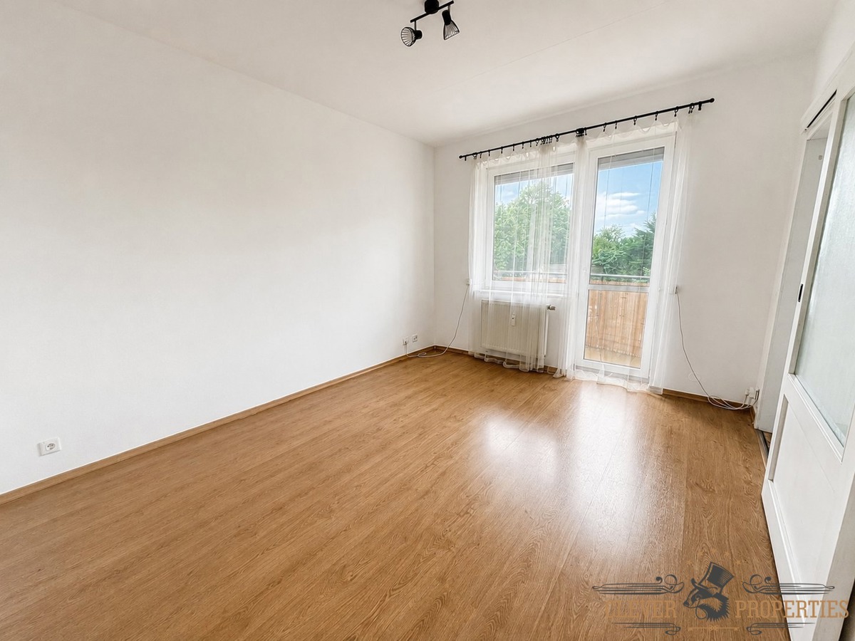 Fotografie 2 - Pronájem bytu · 1+1 · 39 m²