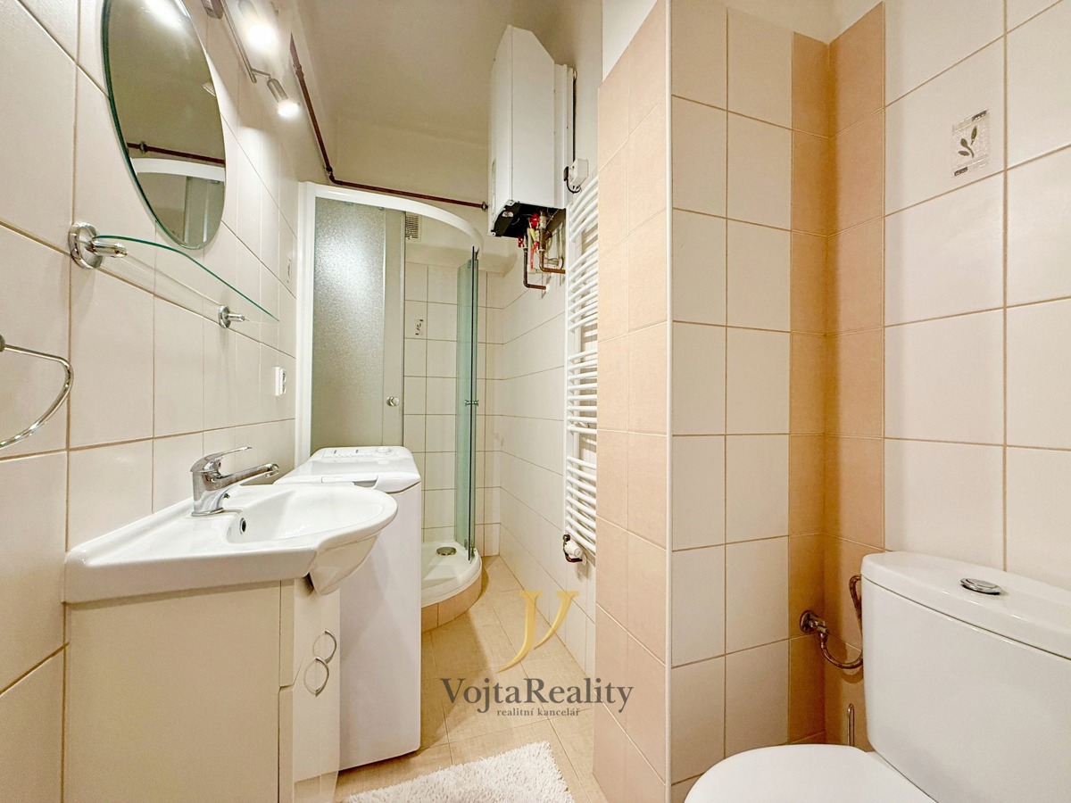 Hình ảnh 3 - Căn hộ cho thuê · 2+kk · 43 m²