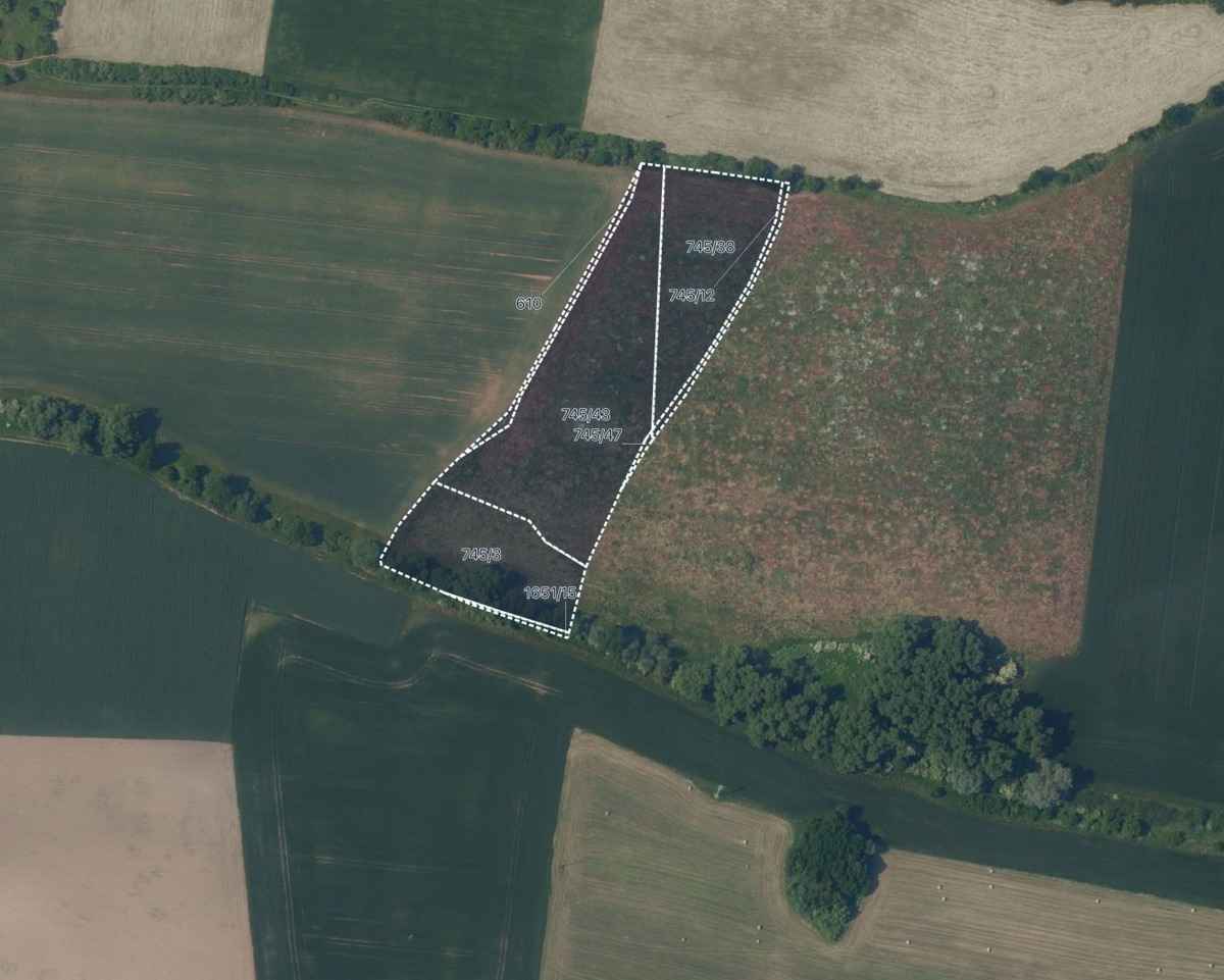 Photo 1 - Land for sale · Vineyard · 7 947 m²