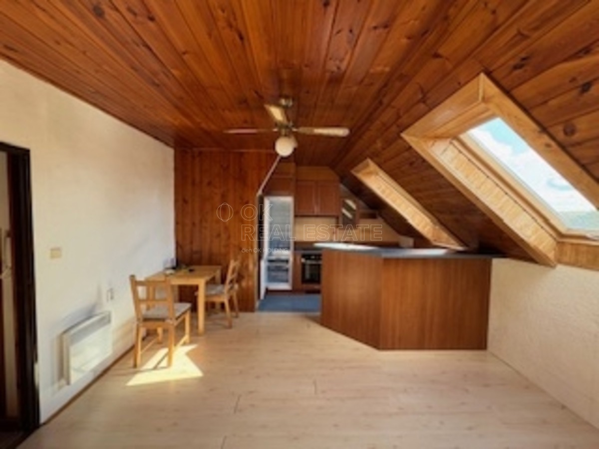 Photo 1 - Apartment for rent · 3+kk · 56 m²