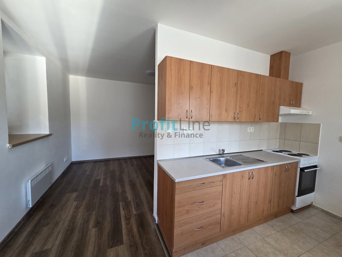 Fotografie 1 - Pronájem bytu · 1+kk · 38 m²