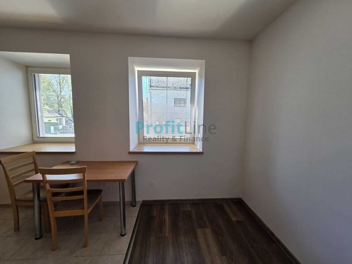 Fotografie 3 - Pronájem bytu · 1+kk · 38 m²