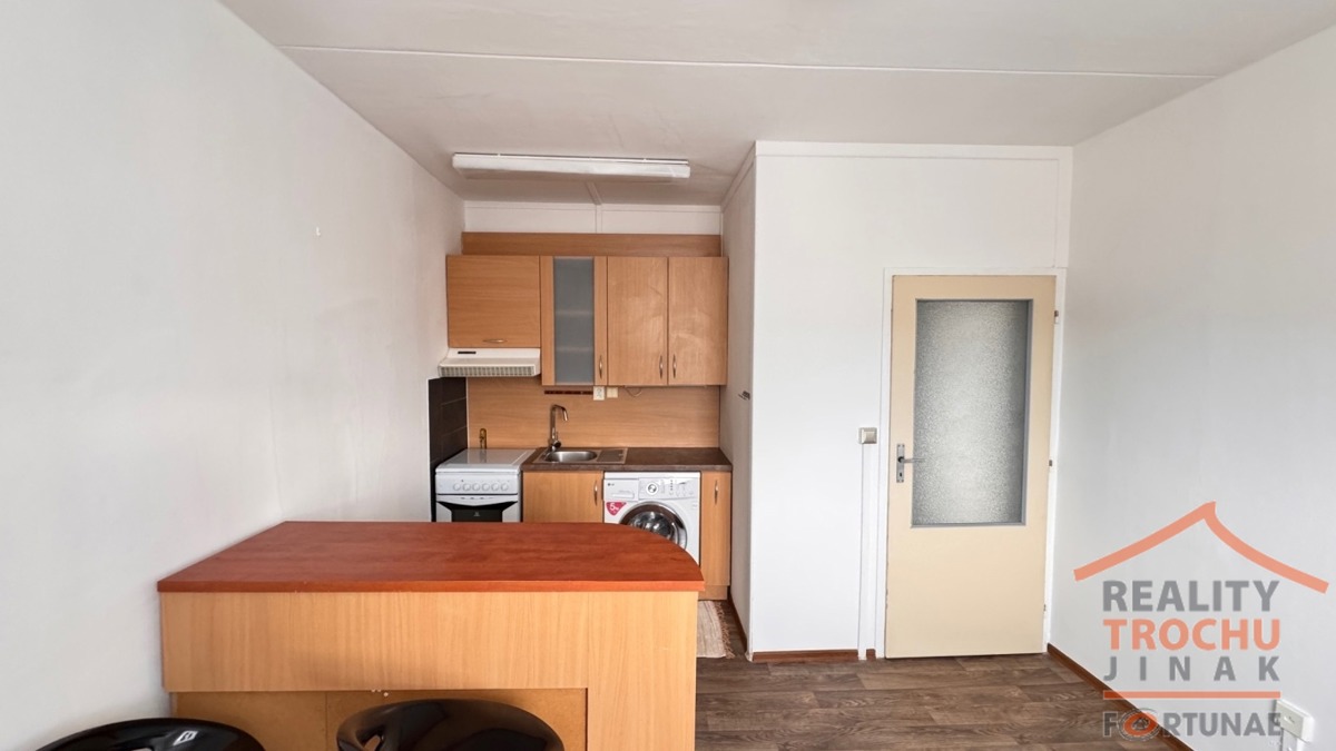 Fotografie 2 - Pronájem bytu · 1+1 · 43 m²