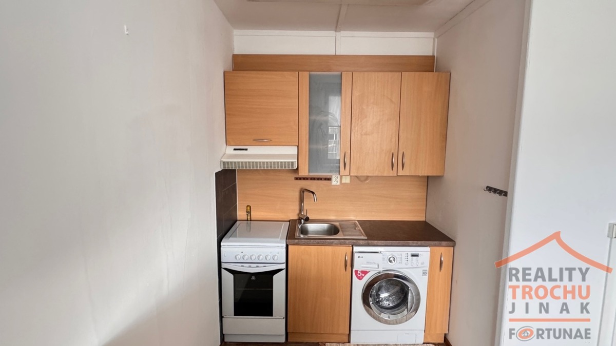 Fotografie 4 - Pronájem bytu · 1+1 · 43 m²