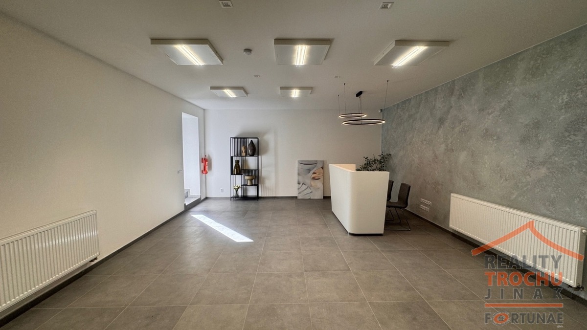 Fotografie 4 - Pronájem komerční nemovitosti · Výrobní haly · 220 m²