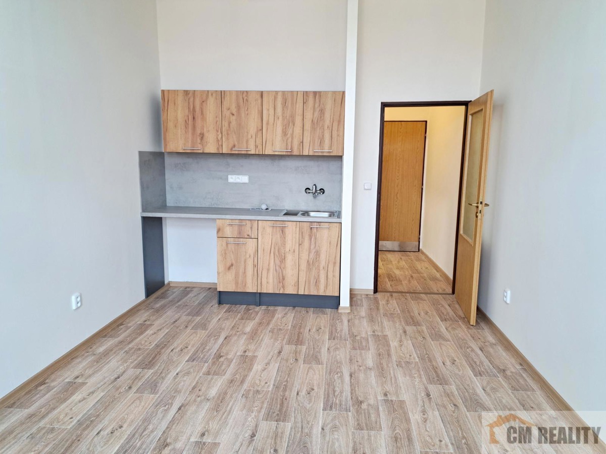 Photo 3 - Apartment for rent · 1+kk · 23 m²