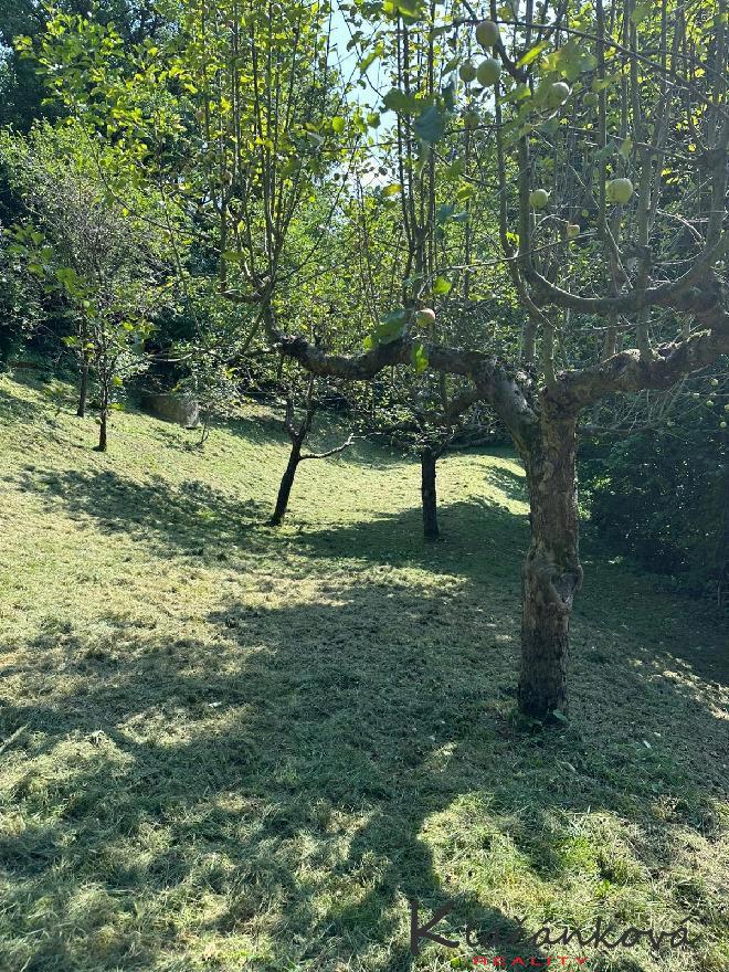Фото 2 - Продажа участка · Под застройку · 893 m²