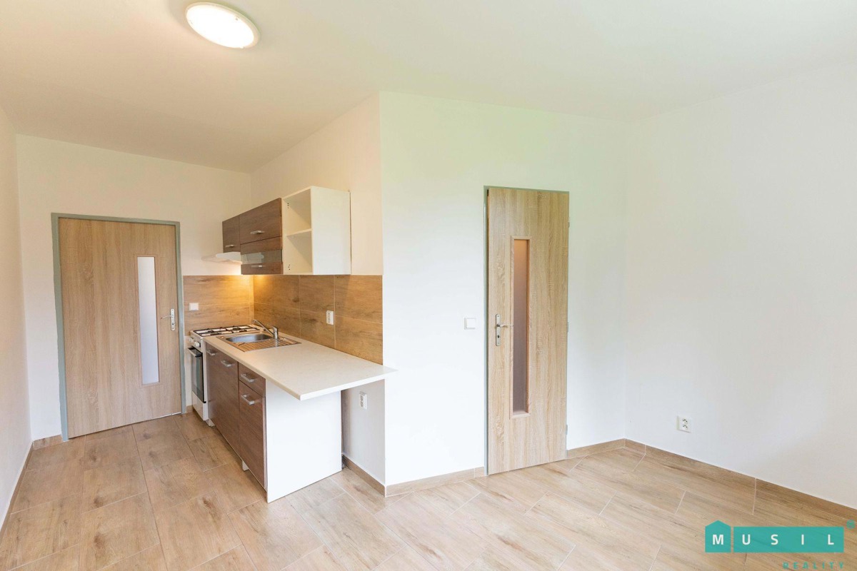 Fotografie 1 - Pronájem bytu · 1+1 · 38 m²