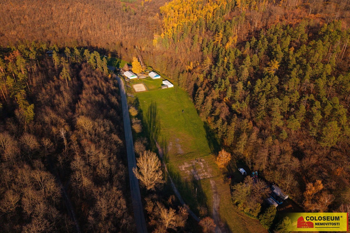 Фото 1 - Продаж ділянки · Луг