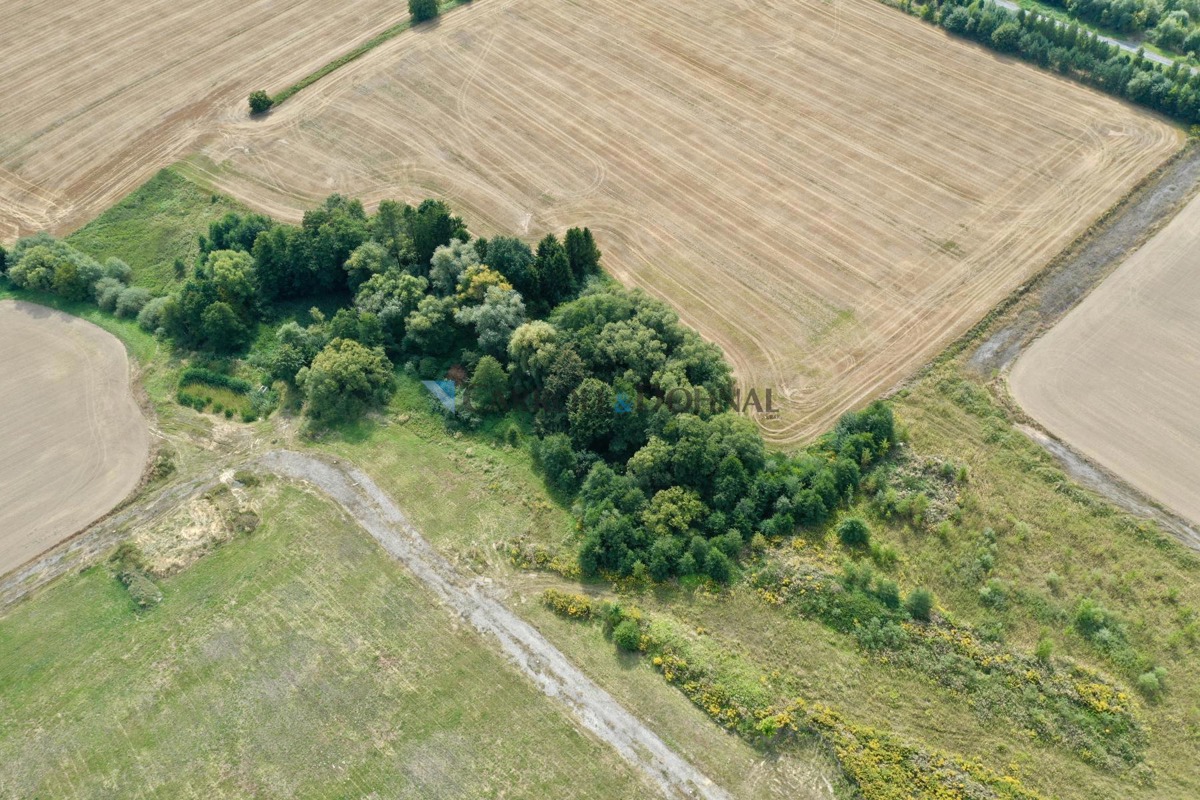 Photo 4 - Land for sale · Housings · 66 863 m²