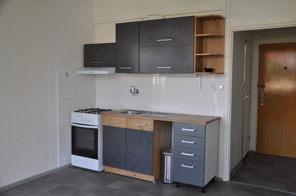 Photo 1 - Apartment for rent · 1+1 · 42 m²