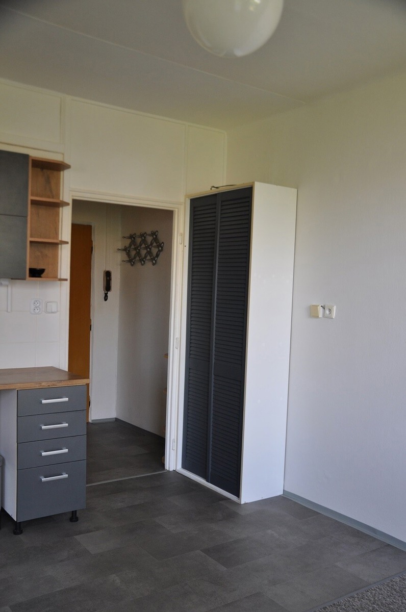 Photo 4 - Apartment for rent · 1+1 · 42 m²