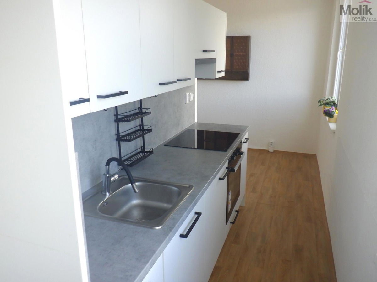 Fotografie 3 - Prodej bytu · 2+1 · 59 m²