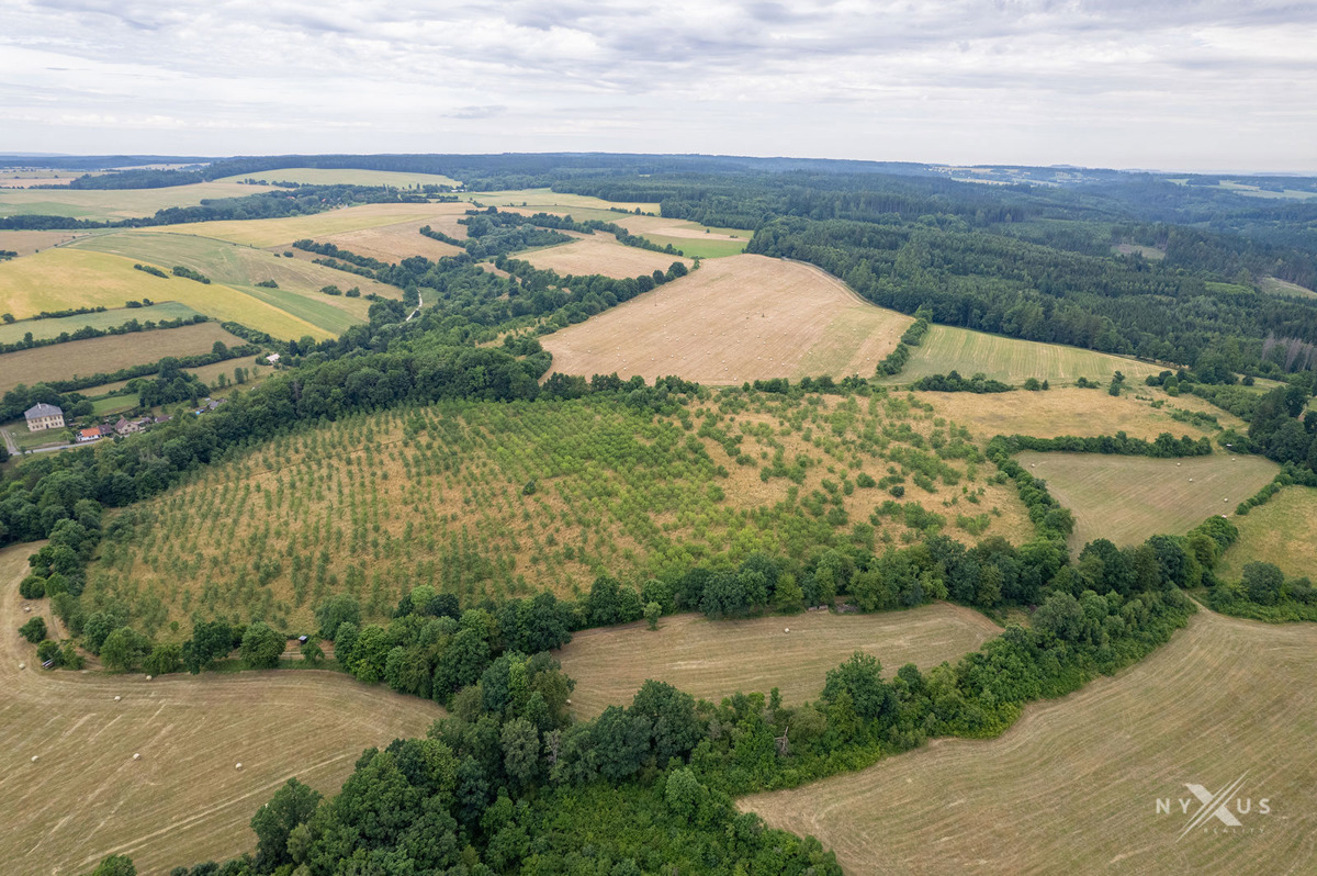 Fotografie 2 - Prodej pozemku · Vinice · 123 793 m²