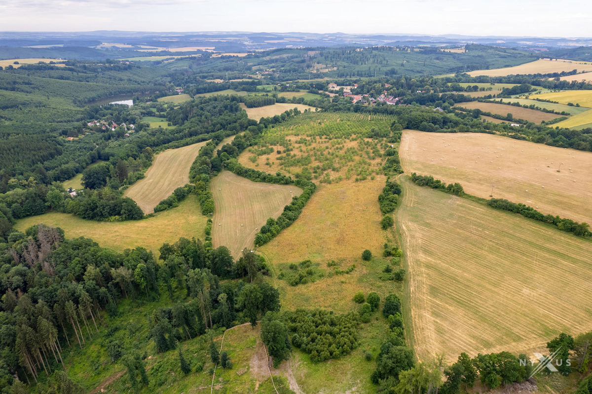 Fotografie 3 - Prodej pozemku · Vinice · 123 793 m²