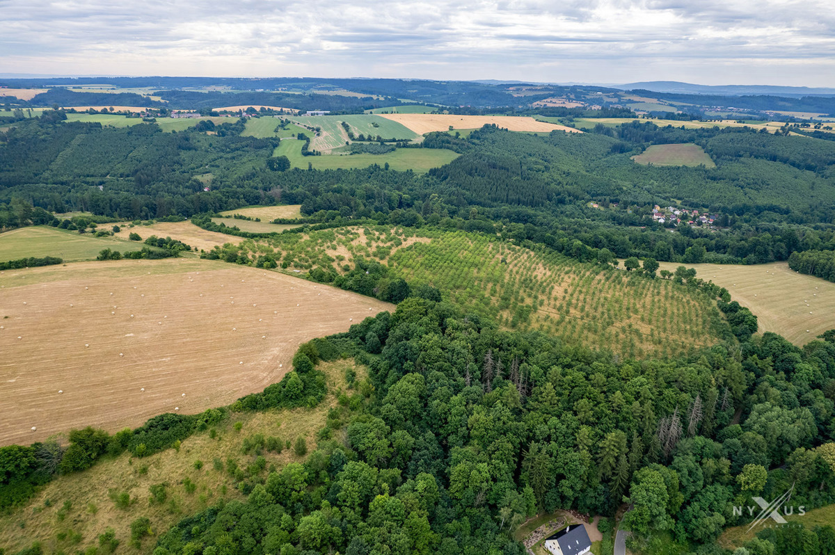Fotografie 4 - Prodej pozemku · Vinice · 123 793 m²