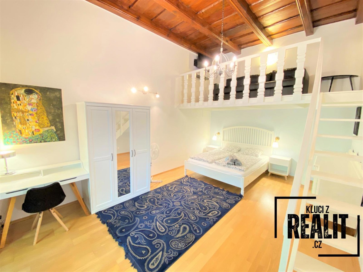 Hình ảnh 3 - Căn hộ cho thuê · 1+1 · 49 m²