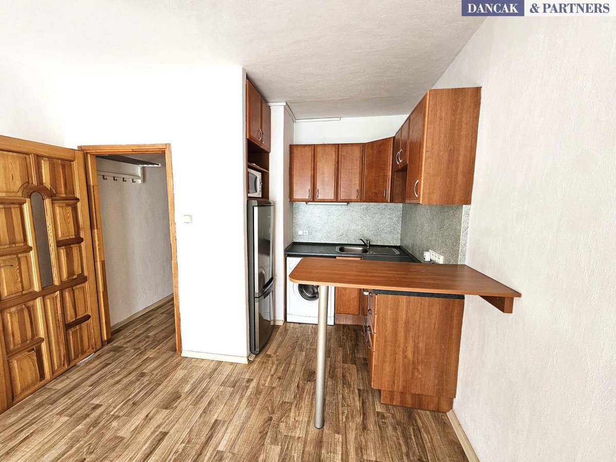 Photo 4 - Apartment for rent · 1+kk · 30 m²