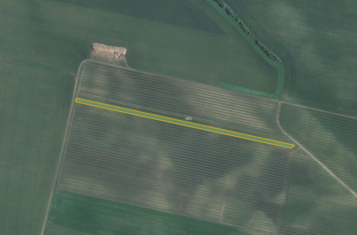 Photo 1 - Land for sale · Vineyard · 5 465 m²