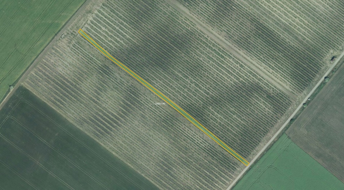 Photo 2 - Land for sale · Vineyard · 5 465 m²