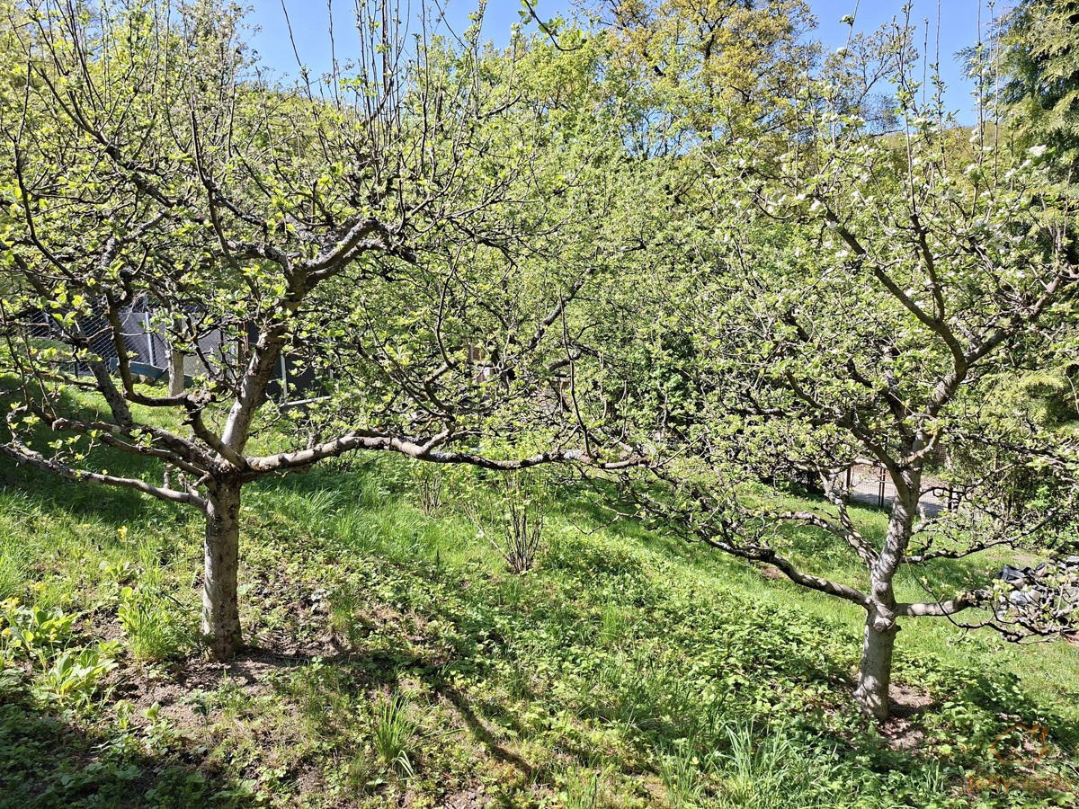 Fotografie 3 - Prodej domu · Chalupa · 49 m² · 1 pokoj