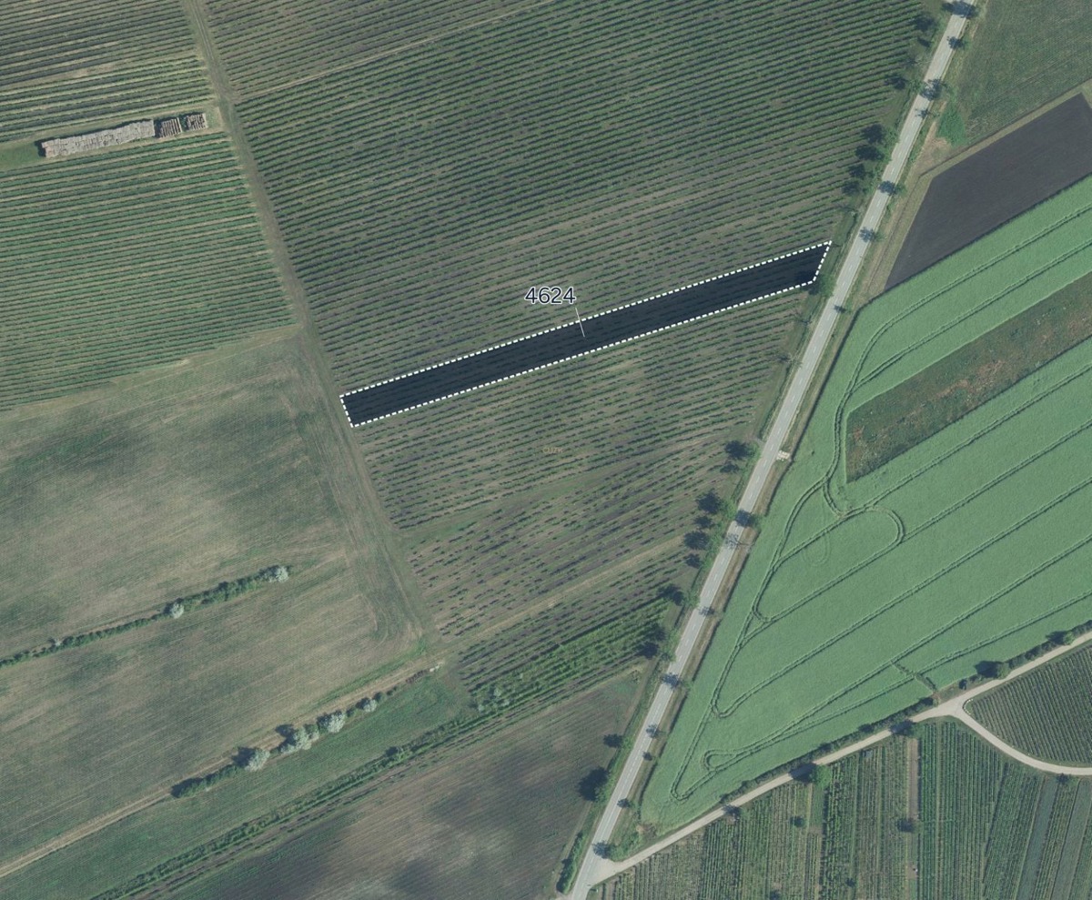 Photo 1 - Land for sale · Vineyard · 3 926 m²